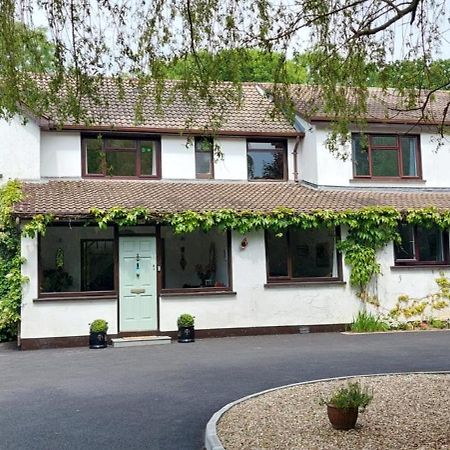 Riverfield Bed And Breakfast Gorey Esterno foto