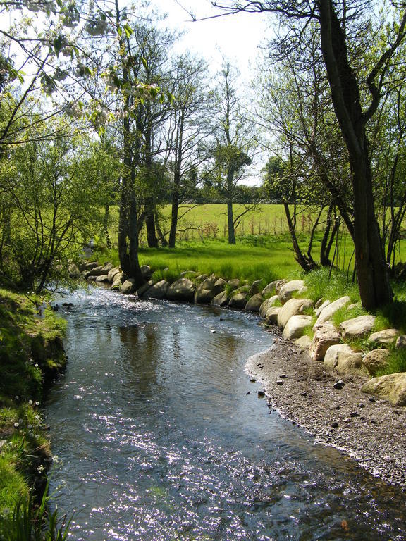 Riverfield Bed And Breakfast Gorey Esterno foto