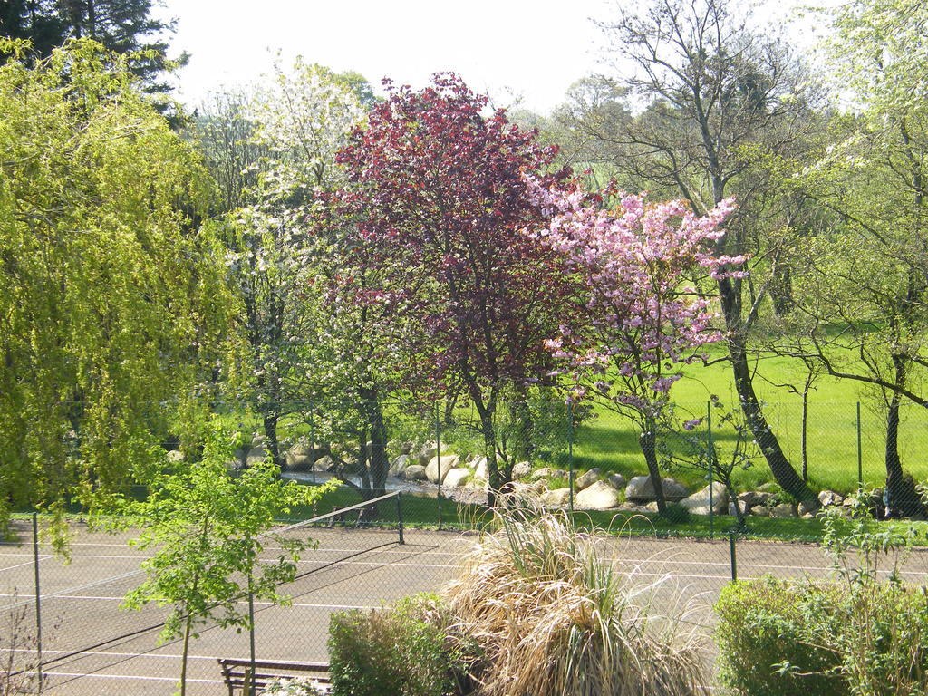 Riverfield Bed And Breakfast Gorey Esterno foto