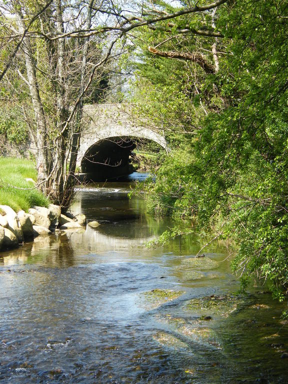 Riverfield Bed And Breakfast Gorey Esterno foto