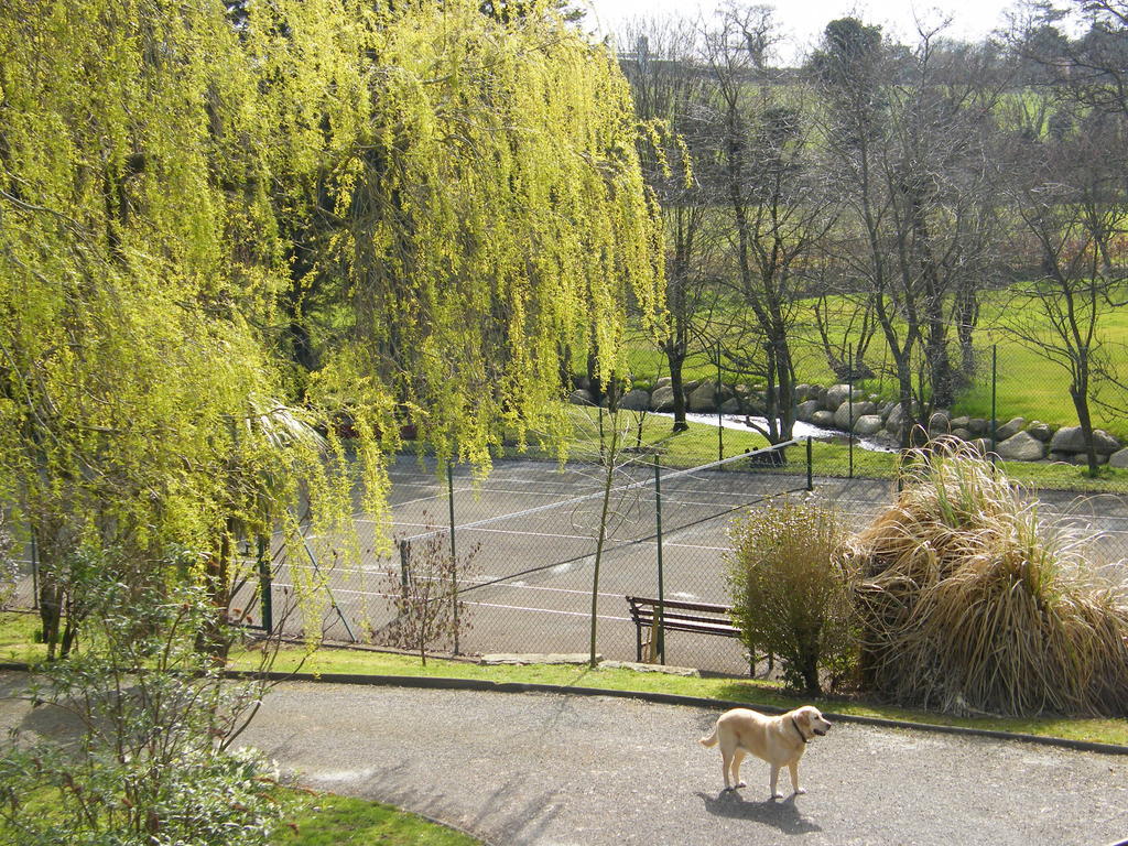 Riverfield Bed And Breakfast Gorey Esterno foto