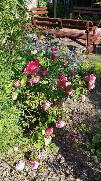 Riverfield Bed And Breakfast Gorey Esterno foto