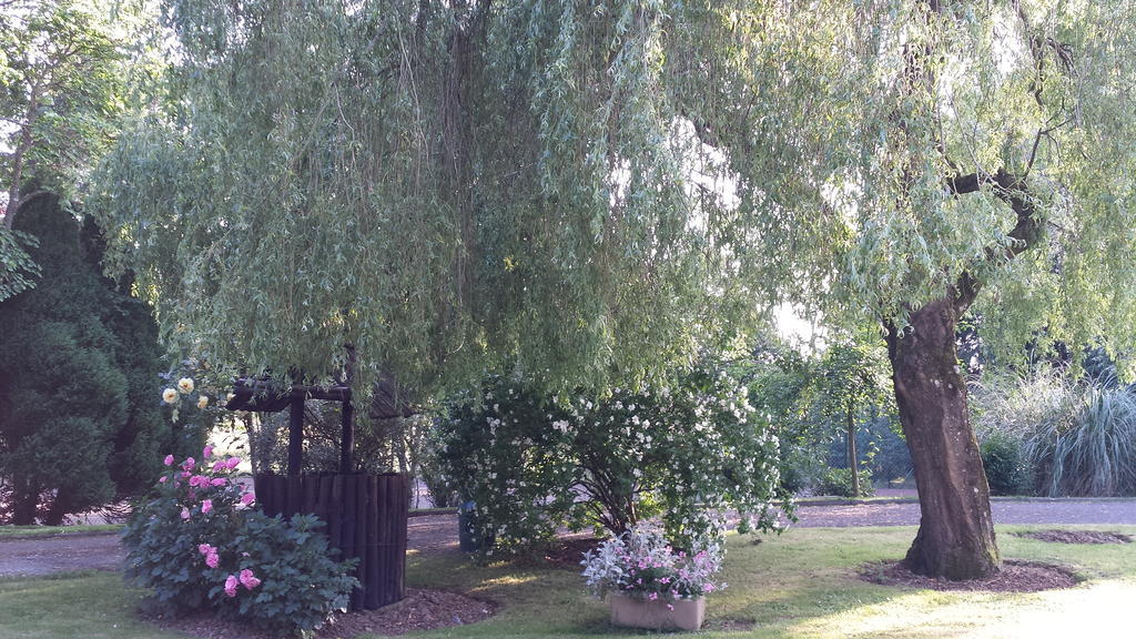 Riverfield Bed And Breakfast Gorey Esterno foto