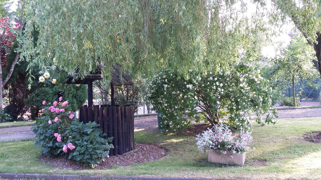 Riverfield Bed And Breakfast Gorey Esterno foto