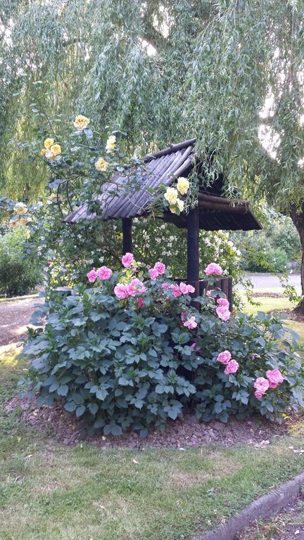Riverfield Bed And Breakfast Gorey Esterno foto