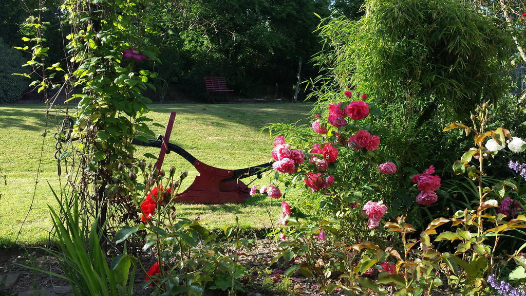 Riverfield Bed And Breakfast Gorey Esterno foto