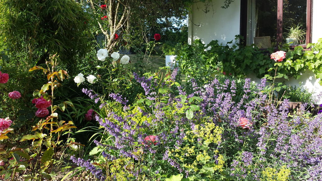 Riverfield Bed And Breakfast Gorey Esterno foto