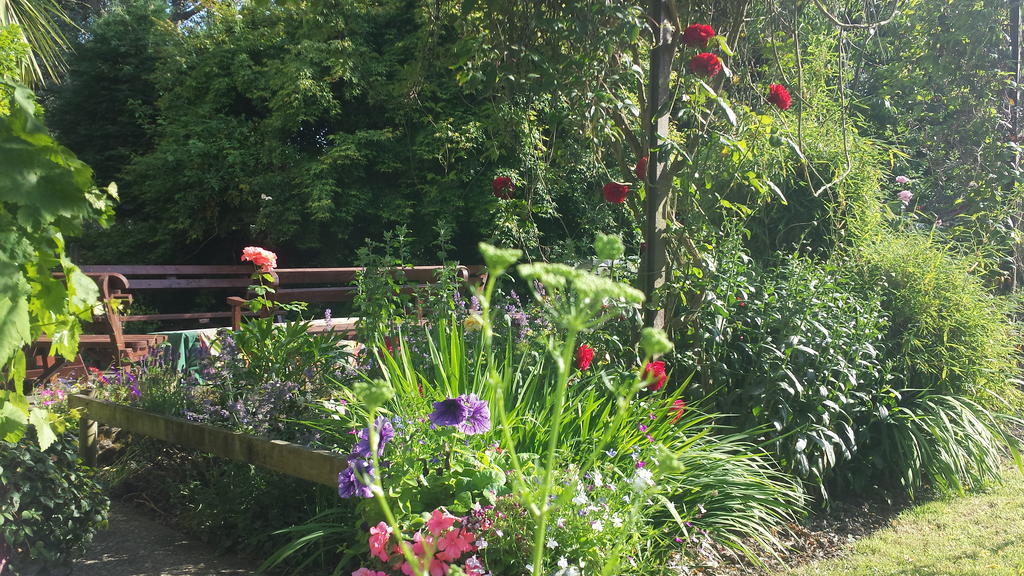 Riverfield Bed And Breakfast Gorey Esterno foto